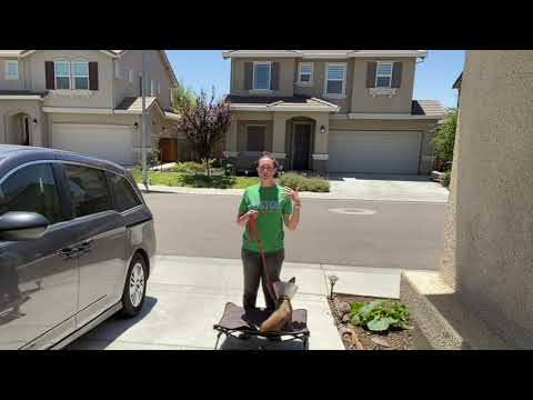 Load video: KingCamp PETS Elevated Outdoor Raised Mat