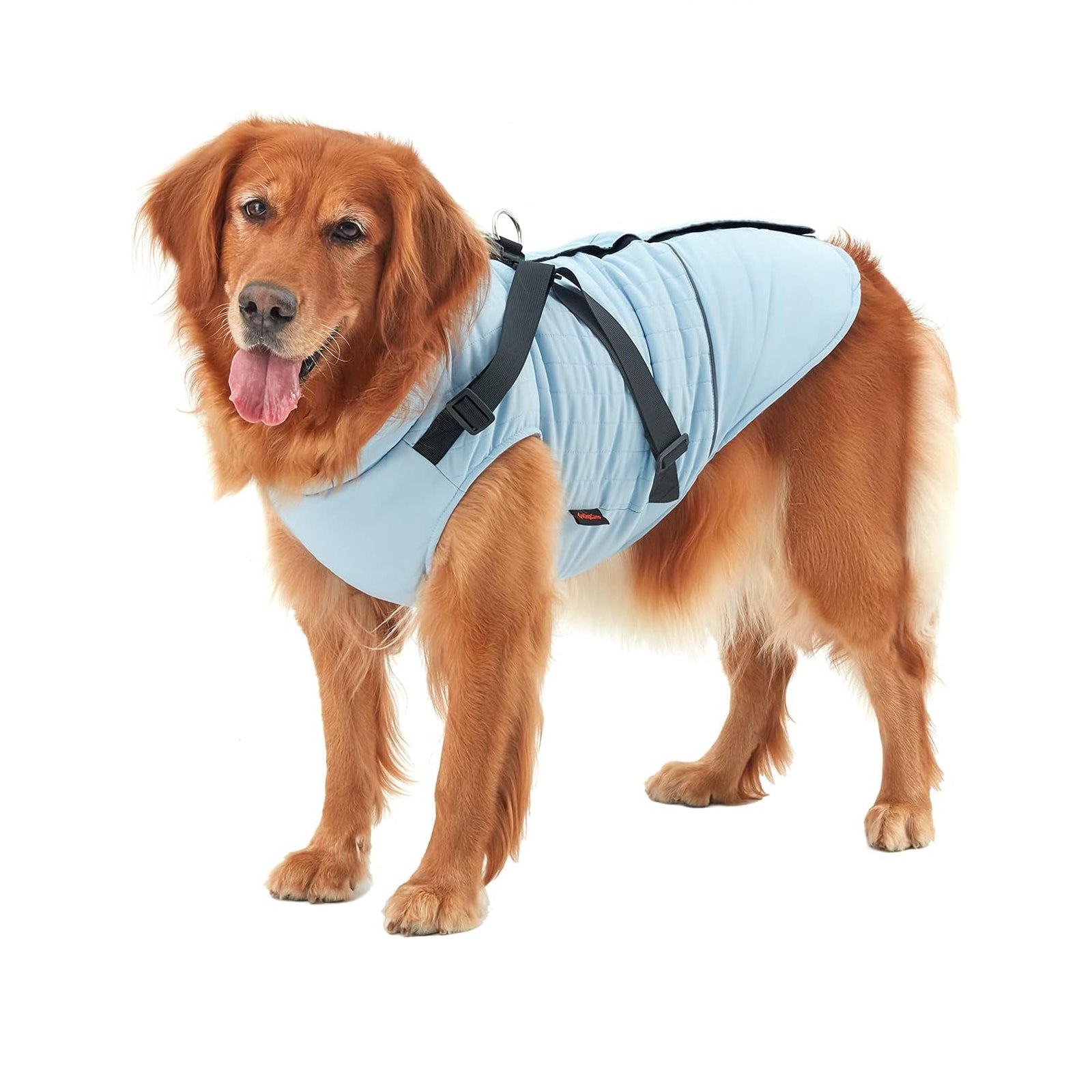 KingCamp PETS Winter Dog Coat with Harness